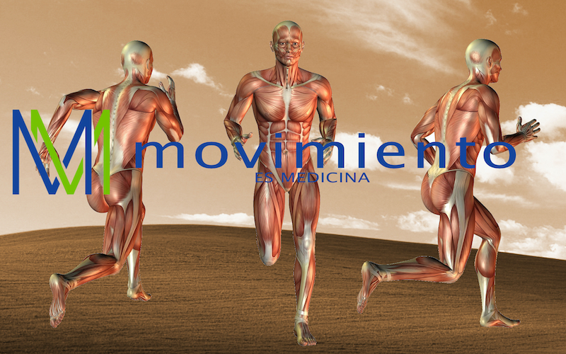 Movimiento es medicina